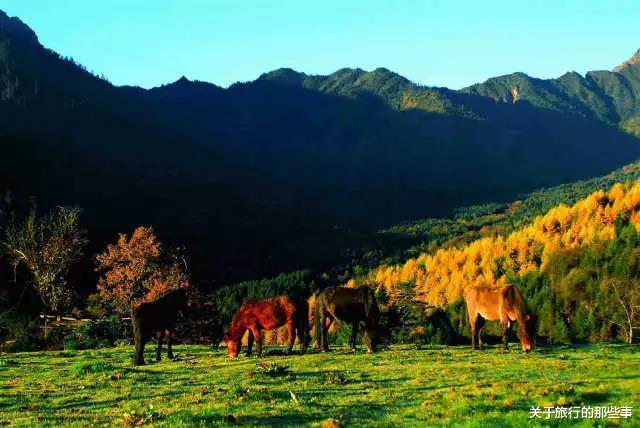 『雅安』这座城市被称为“雨城”,全年有200多天都在下雨,你知道是哪吗?