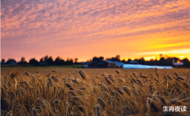 重来|11月底,爱情重来,桃花再开,月老垂怜,再次复合,余生恩爱