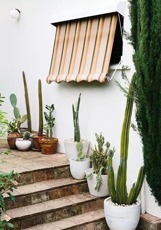 ：等老了，就设计这样的小院来养老，有花有树有阳光，太棒了