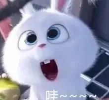 南湖@你心心念念的南湖大桥音乐喷泉“醒”了！