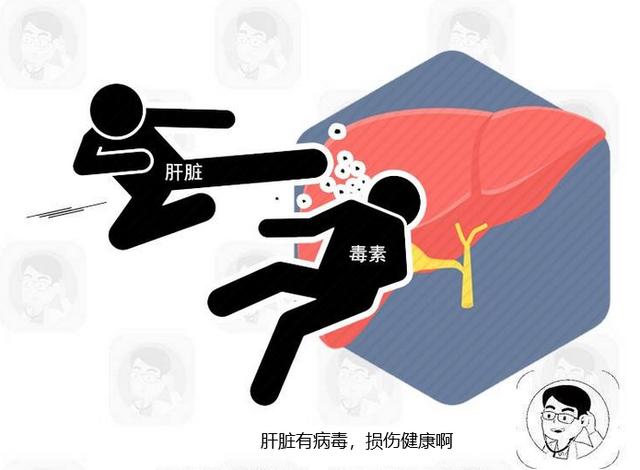 燕麦|肝脏变硬，腹部先知！提醒：腹部出现2个迹象，提示你该体检了