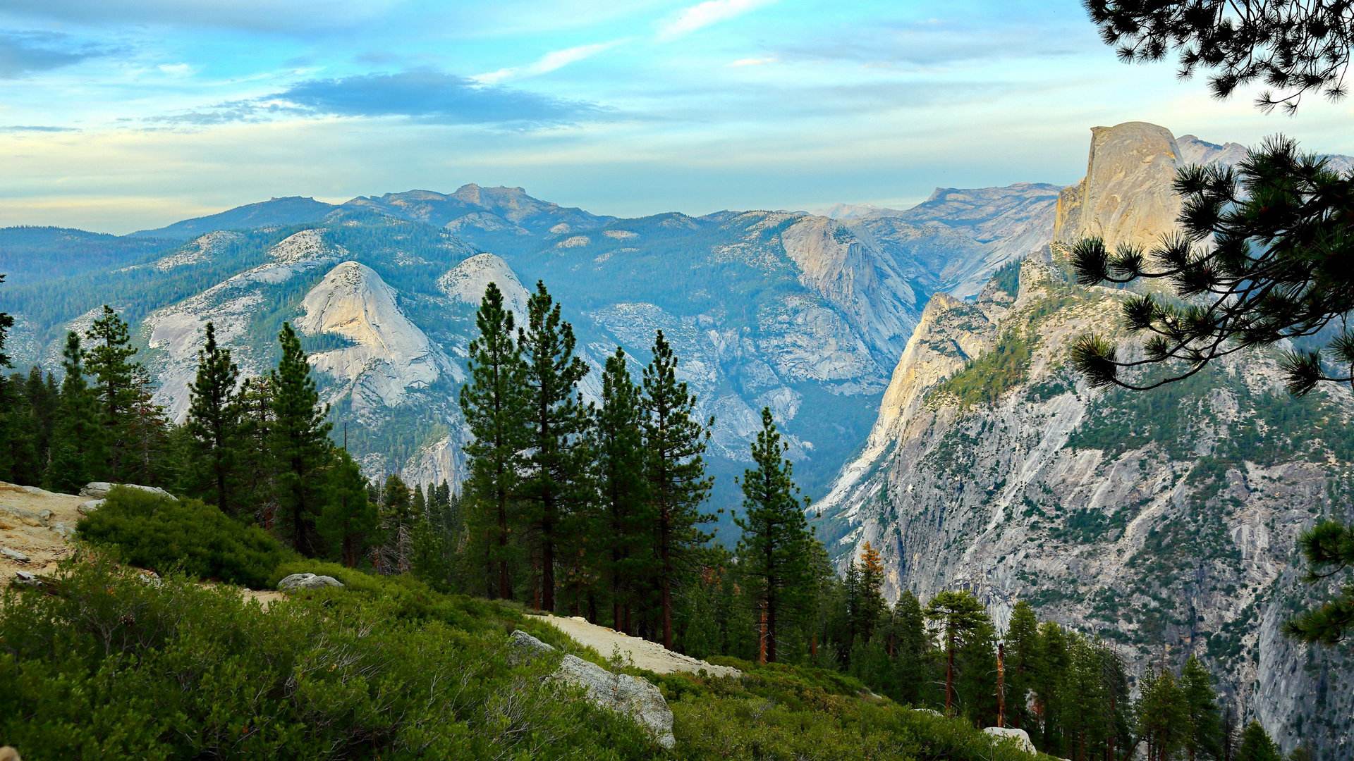 蛇颈龙|乔治亚州发现疑似“蛇颈龙”尸体,经过研究,它可能是另一种生物