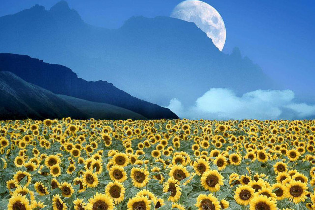 生肖|未来4个月，吉星驾临，3生肖苦尽甘来，财禄缠绕，不再受穷苦