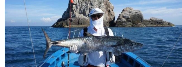 |放生大海的鱼，为什么要在鱼肚子上捅一个洞？