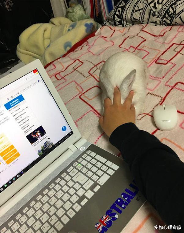 女孩伸手去摸鼠标，却碰到一个柔软的东西，转头一看两眼放光