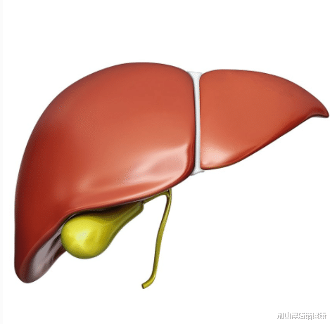 肝脏|最伤肝的“水果”被公布，很多人不知道，整袋往家提，及时远离