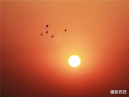 猪友巴巴|农村俗语“立秋不叫秋，天凉白露后”，啥意思？立了秋还会热吗？