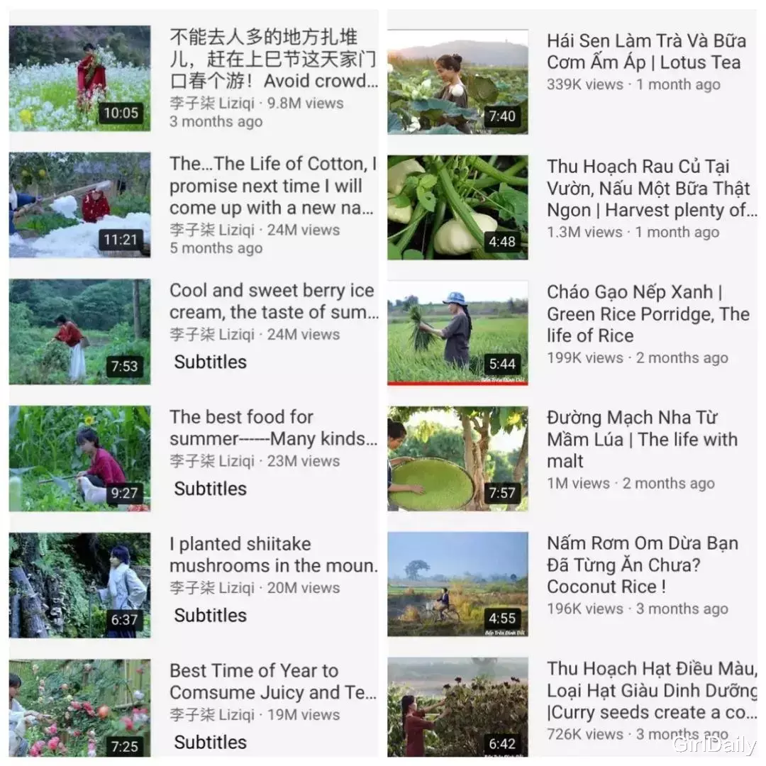 李子柒|李子柒被抄袭第400天:我花2年拍的视频,被你用5分钟占为己有