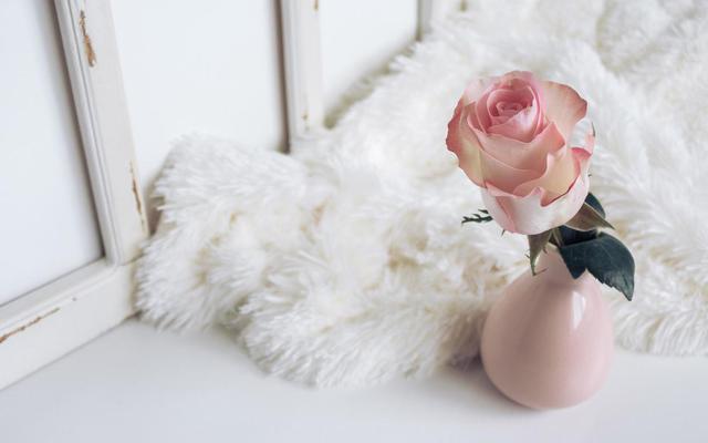 星座女|看看下半年,是哪三个星座女,能添财添福?