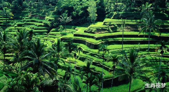 运势@6月中，运势上上签，贵人大力帮，3生肖事业欣欣向荣，生活美滋滋