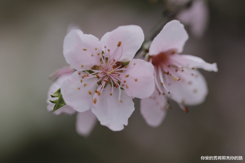「运势」6月22号起好运连连，财富蹭蹭涨，四属相运势乘风破浪，财运颇丰