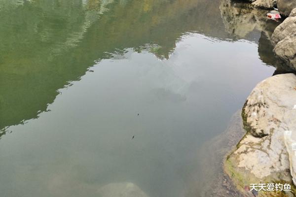 |解锁新鱼种：沙塘鳢的垂钓技巧，这种鱼以前很常见，现在难得一见