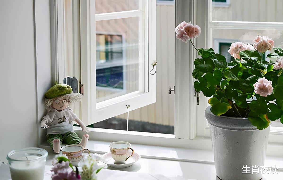 生肖|11月，兜兜转转，依旧是你，3生肖情火未灭，心有独钟，念念不忘