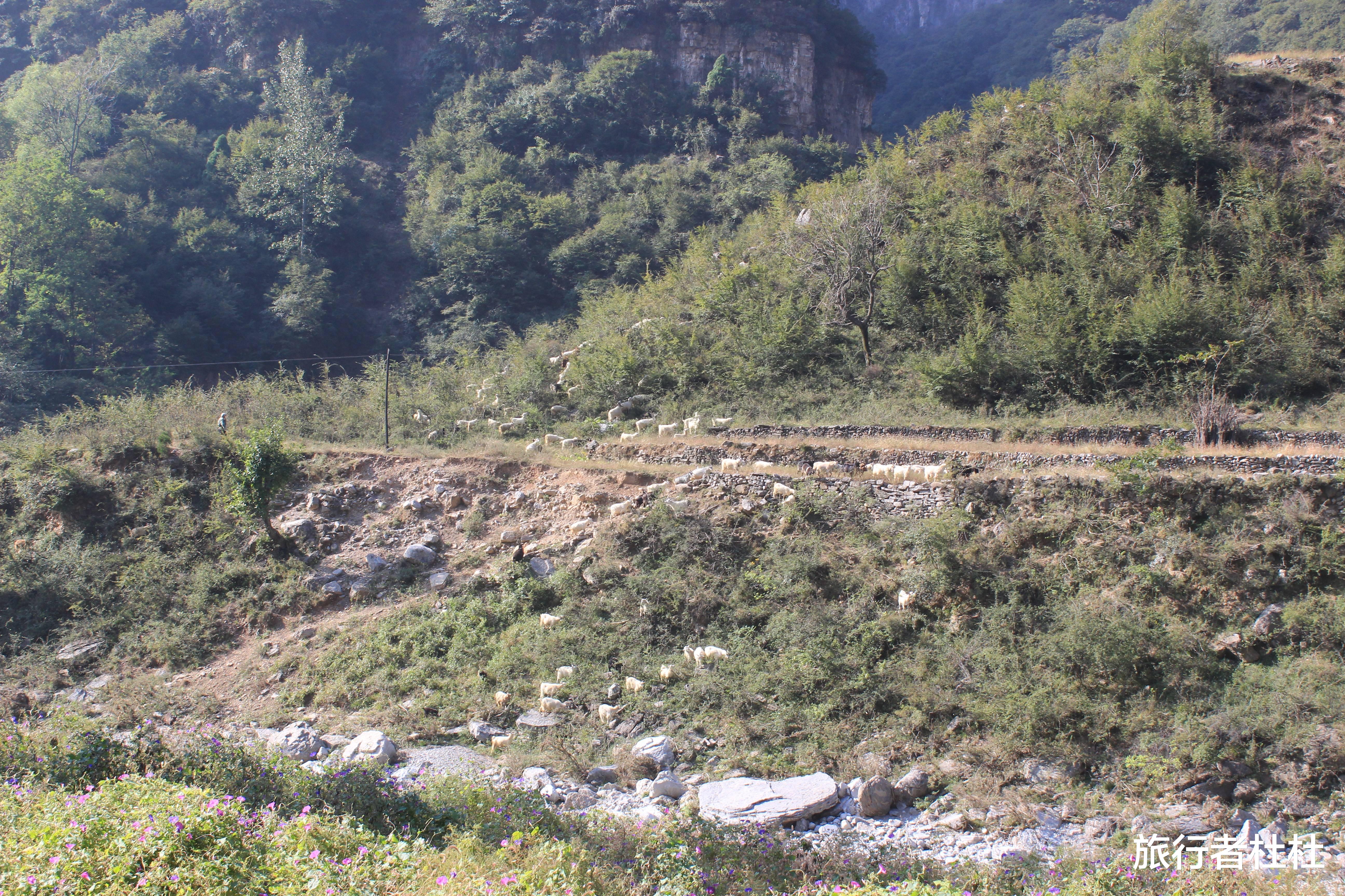 【抱犊村】南太行山的空中驿站，最美的世外桃源地-抱犊村