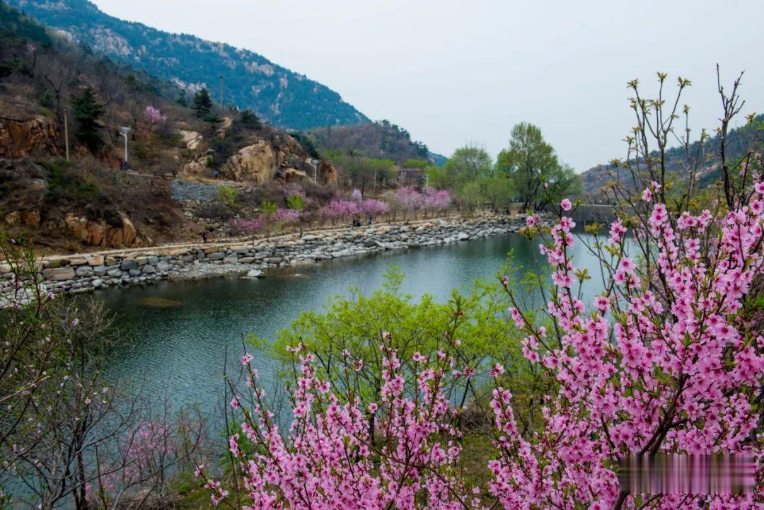 ▲周末，彩石溪走起！