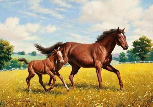 「白羊座」未来30天,事业如鱼得水,财运旺,横财多的生肖属相!