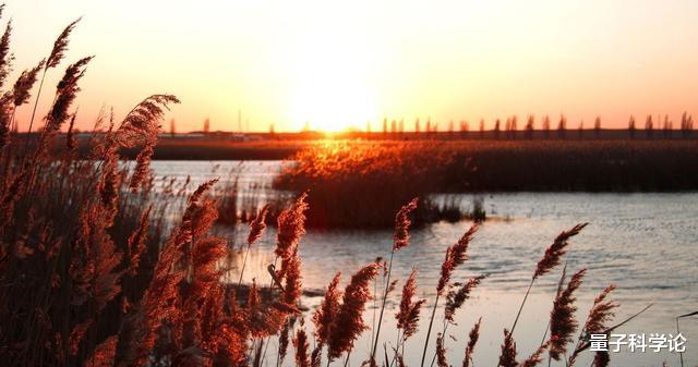 科学家|打开500万年前的洞穴,科学家看到“外星世界”,颠覆生命认知