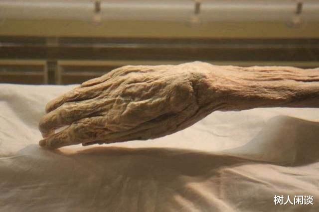 崇祯@马王堆出土的辛追夫人，照片明明很恐怖，为何专家却说栩栩如生？