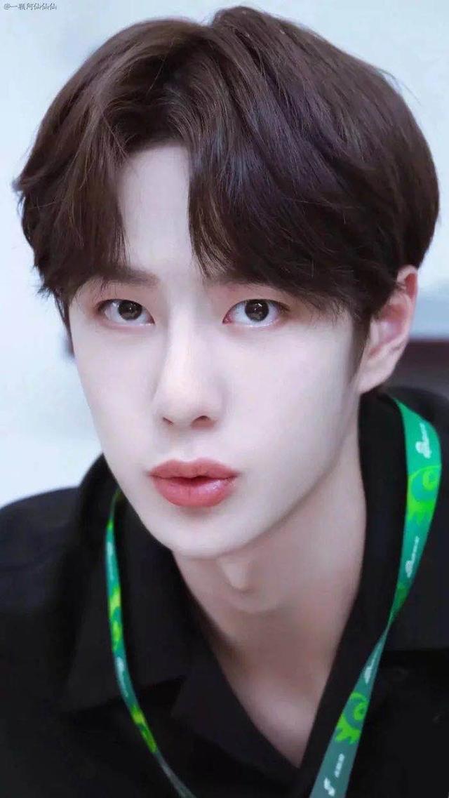 王一博|为什么王一博性格冷漠却在内娱混得这么好？