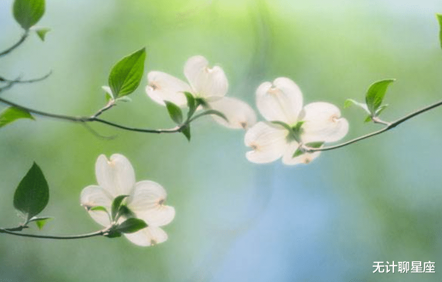 心之所向|未来五天，最有福气的4个星座，磨难将顺利通过