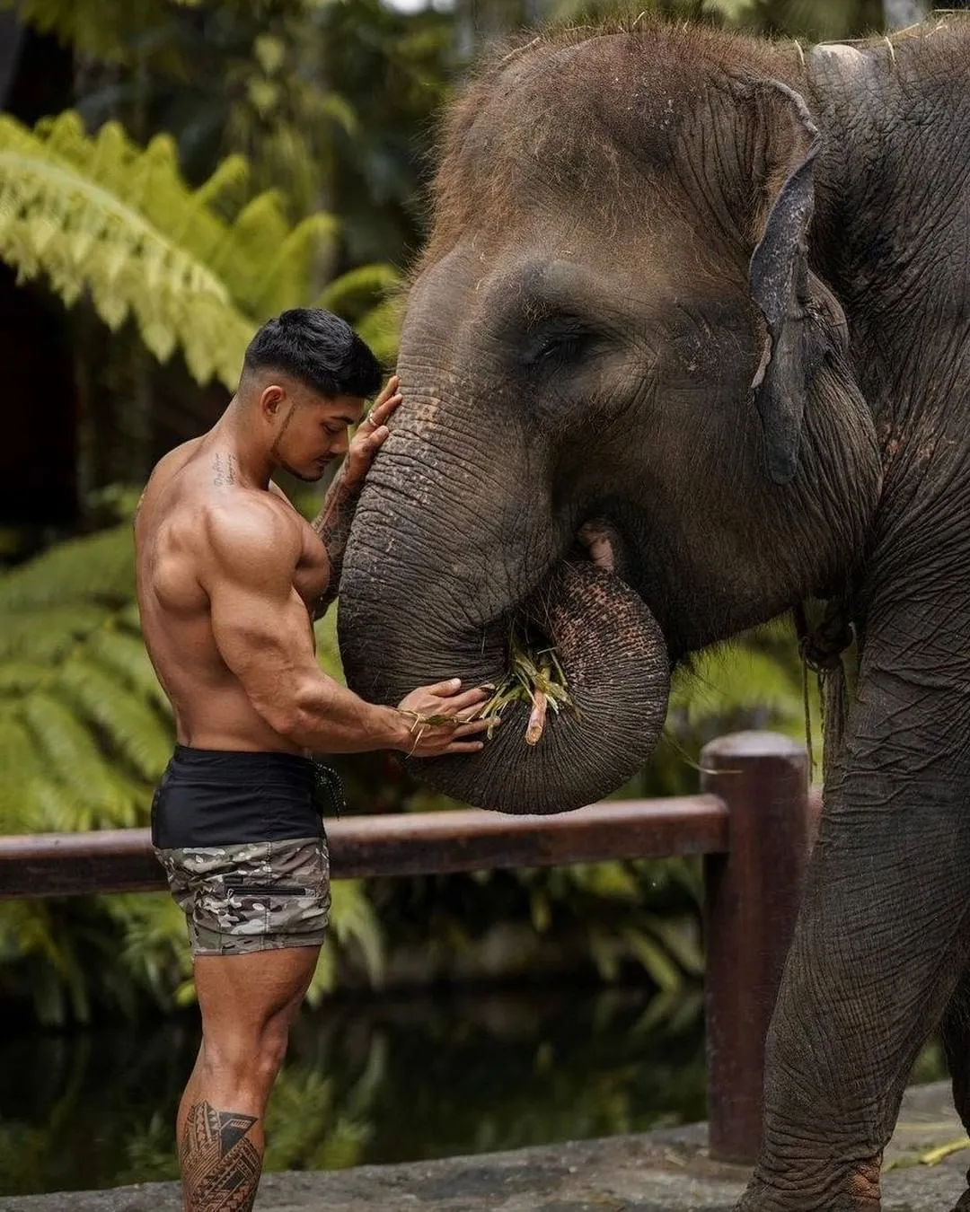 蛋白质|乳清蛋白vs酪蛋白，哪个更快让你变大？