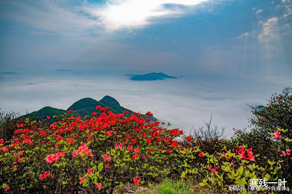 青团▲五一好去处！一个有山有花海、好吃好玩的地方，一般人我不告诉他