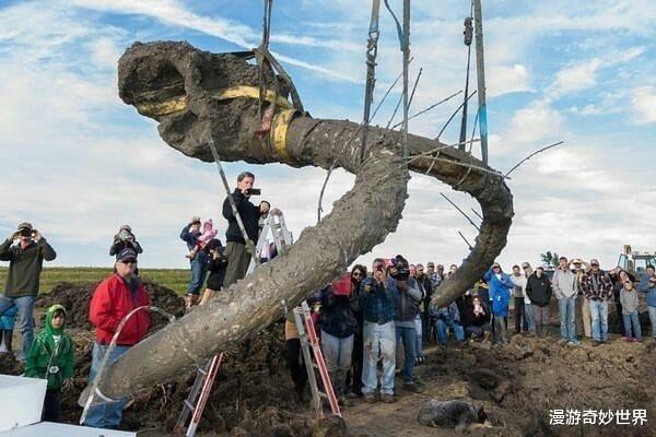 |令人眼界大开的28张图,相当涨姿势!