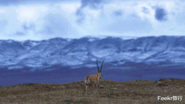 旅行|“恶魔之眼”、“中国版66号公路”刷屏整个夏天，我却庆幸没去