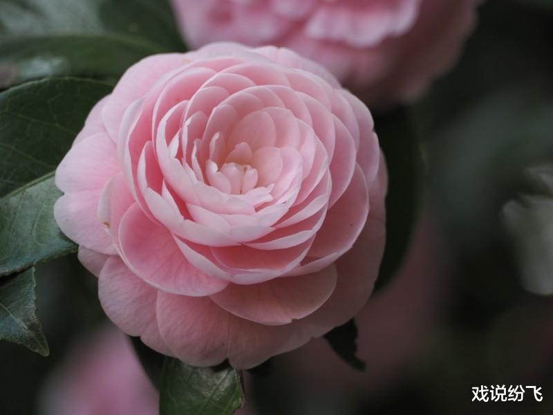 生肖|接下来一周偏财运旺，能赚得金盆满满的3大生肖