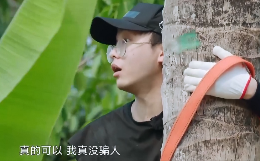 #彭昱畅#《向往4》预告出现剧透，桌上的椰子实力抢镜，彭昱畅上树成功了