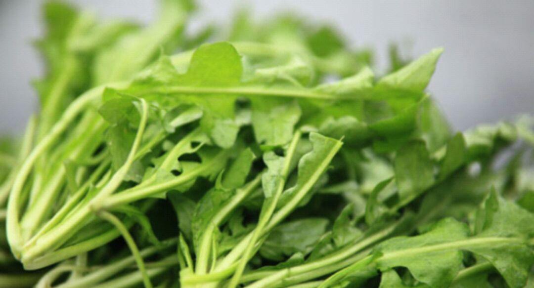 [癌细胞]人怕癌，癌细胞却怕“它”，每天坚持多吃点，癌细胞见你或低头走