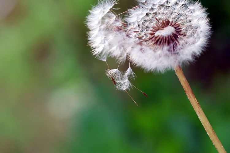 「生肖」下个月，月老拨开云雾，缘分桃花陆续来，真爱如胶似漆的3大生肖