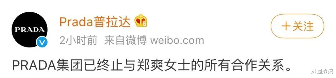 郑爽|郑爽张恒要鱼死网破？女方后续资源全掉，与侯明昊新剧直接流产