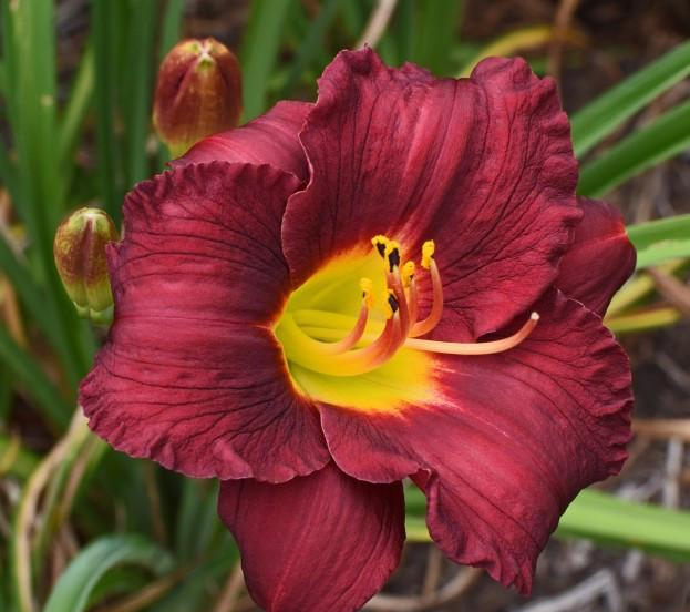 运势|10月风生水起，好运眼前绕，富贵赚大钱的4大星座