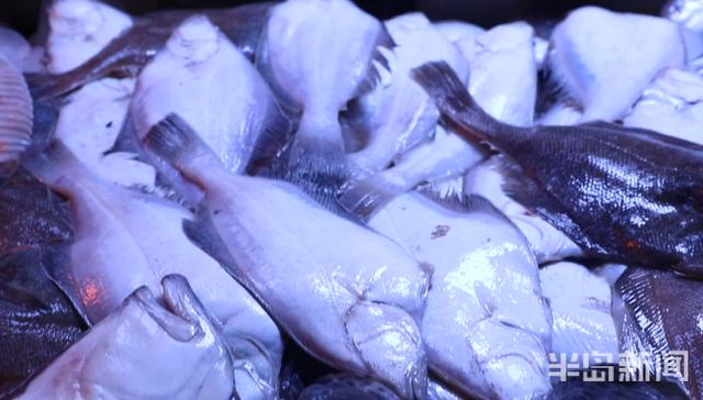 半岛新闻客户端|螃蟹50元、大海螺45元！记者走市场逛码头，青岛最“鲜”海货价格表来了