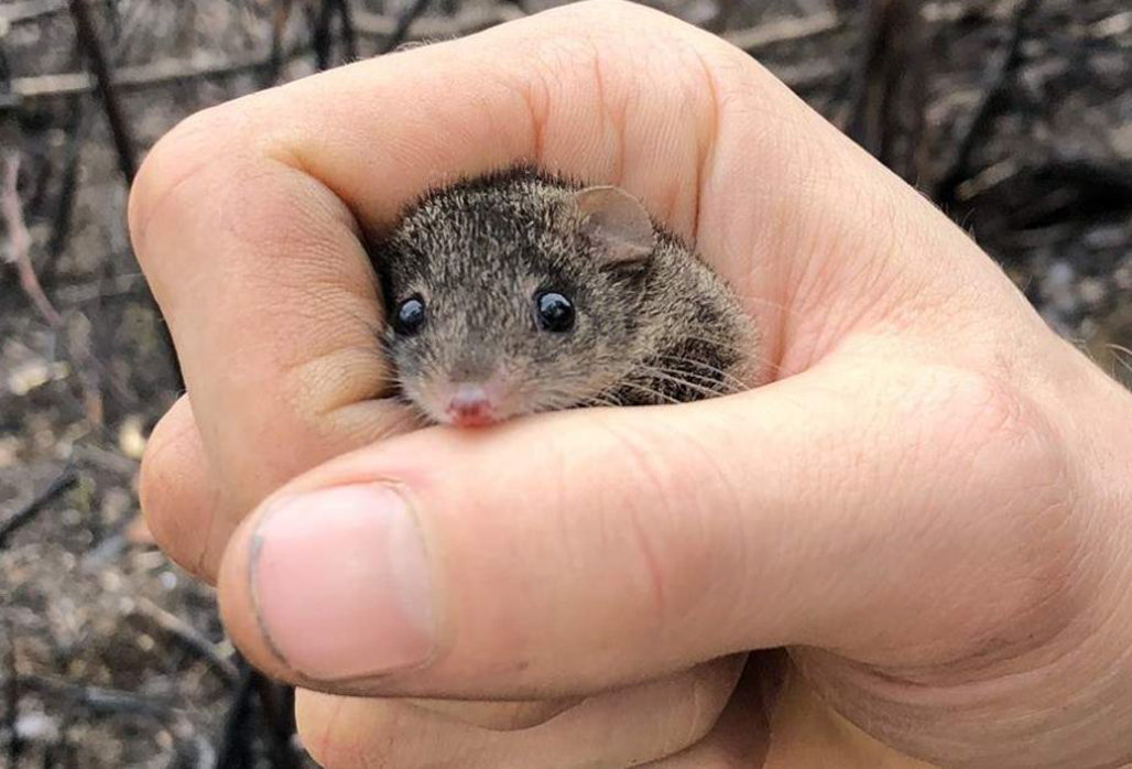 「后代」地球上，交配时间持续最长的动物是什么？