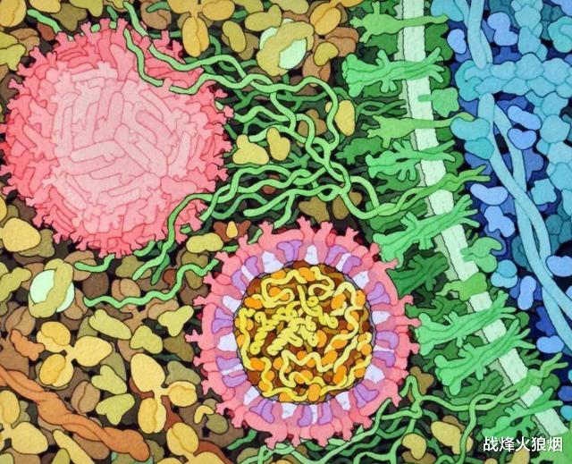 巴西@雪上加霜！新冠疫情失控后，又一种新病毒席卷巴西，已确诊3692例