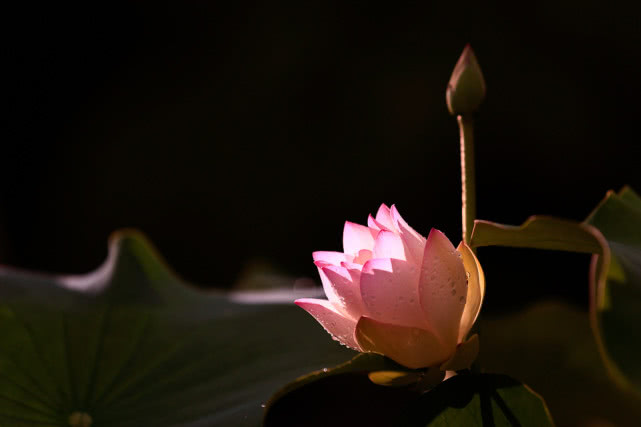 生肖▲6月上旬有大惊喜,3生肖正财旺盛,横财压身,收获和付出成正比