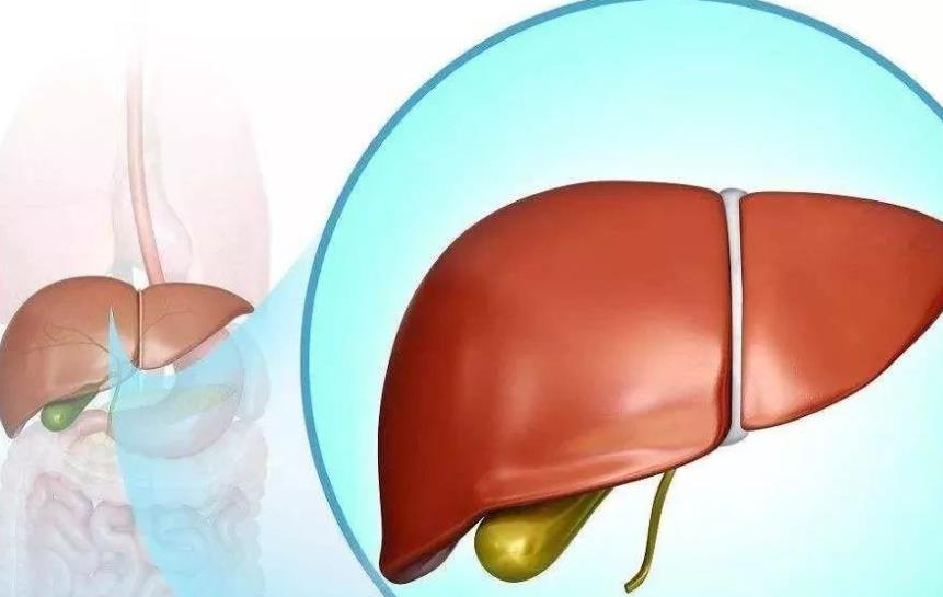 「肝脏」肝脏健康的人,手部一般没这几个表现,一个没中很幸运