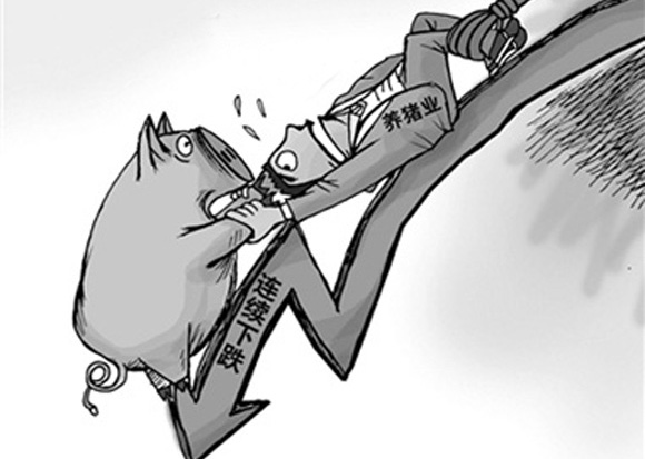 白酒股 1月10日:不堪回首,猪价呈现“4连跌”,消费锐减或是主因