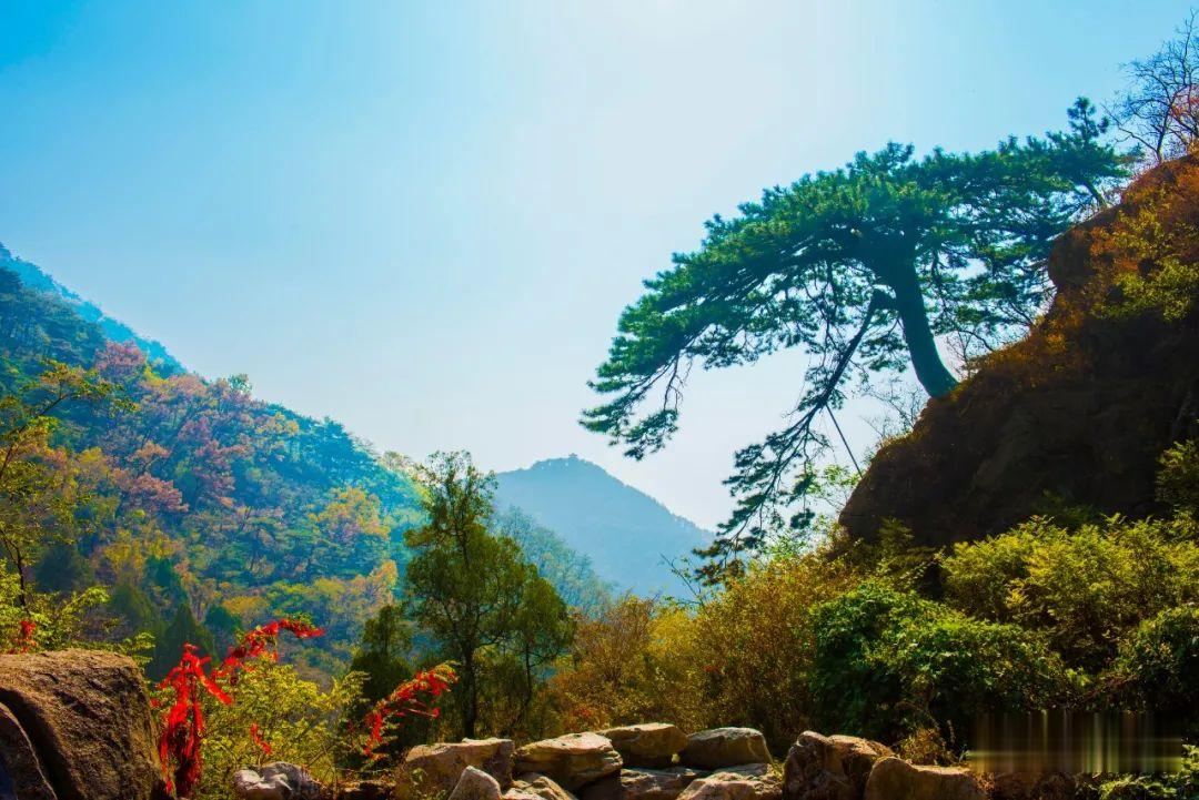 |有此美景 何必远行