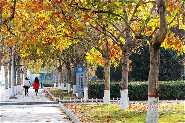 大学|职业学院和专科学院的五点差异，带你了解同是专科之间的差异