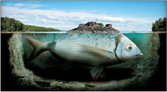 海洋生物|大海究竟有多深?看完这些你可能也会得深海恐惧症