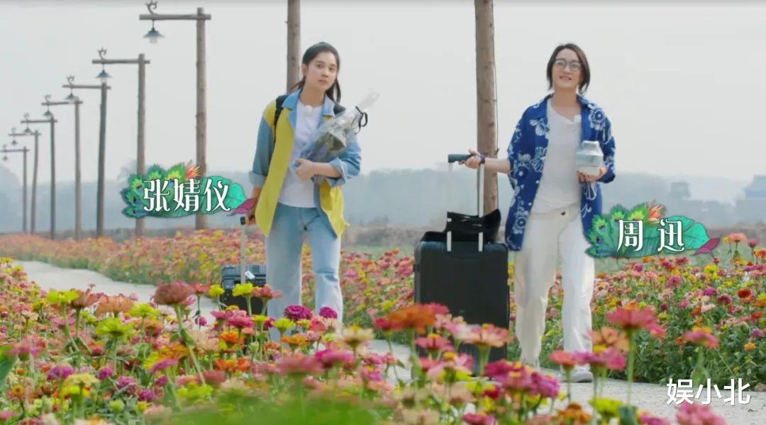 『周迅』电影中是精灵,生活中却是个铁憨憨,“热心市民”周迅的奇葩瞬间