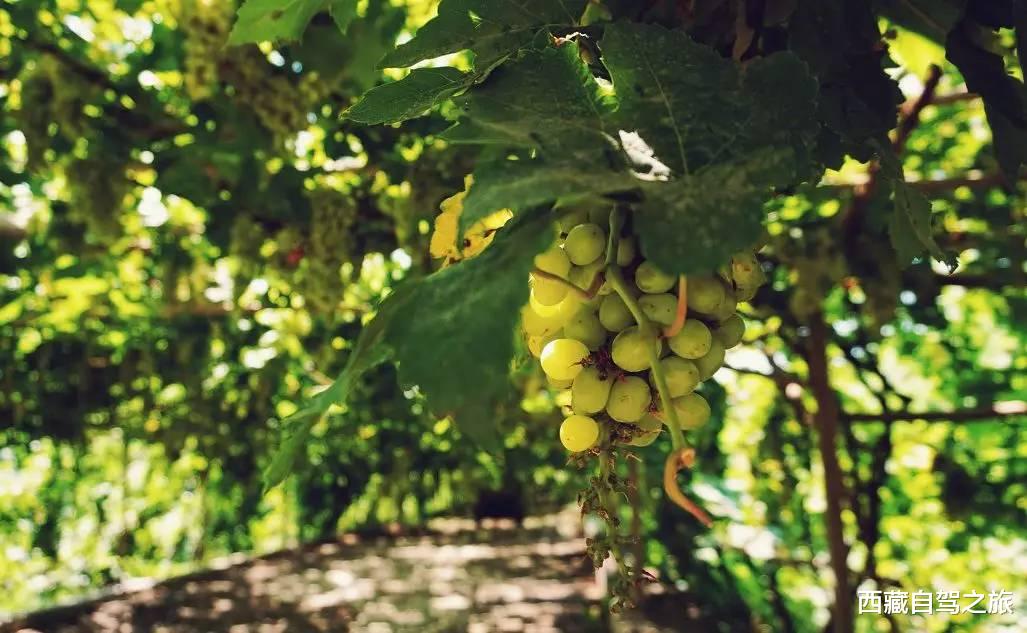 旅行|国内必去的100个地方，去过60个，称得上真正的旅行达人