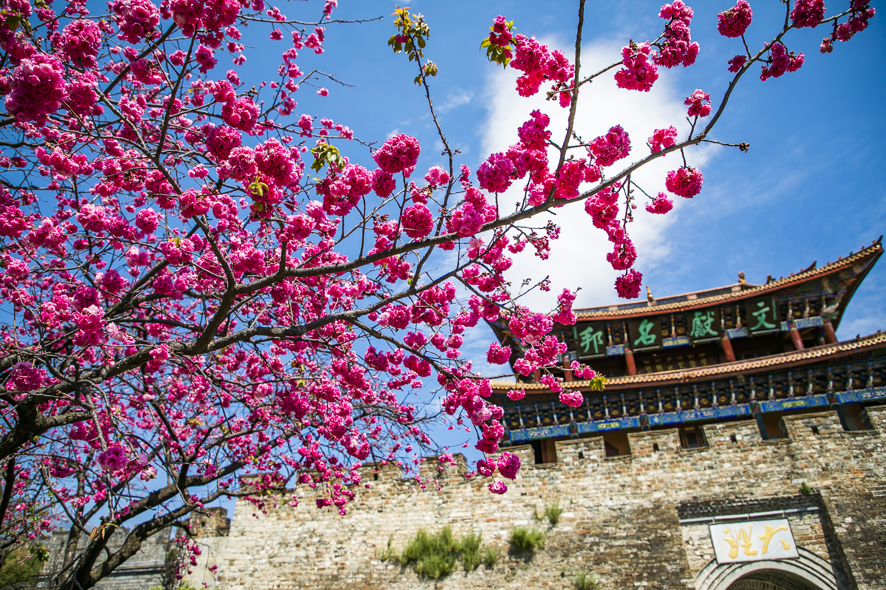 『大理』中国最美的“宜居之城”，四季风景如画，有钱人都在这里买房养老