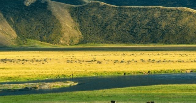 深圳市|中国第一大城市，相当于130个深圳40个上海，可抵2个韩国！