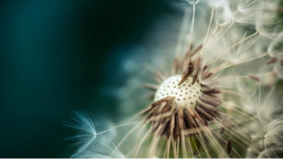 [星座女]未来一个月，拨冗洗尘，好事接踵而至，守得云开见红日的三大星座