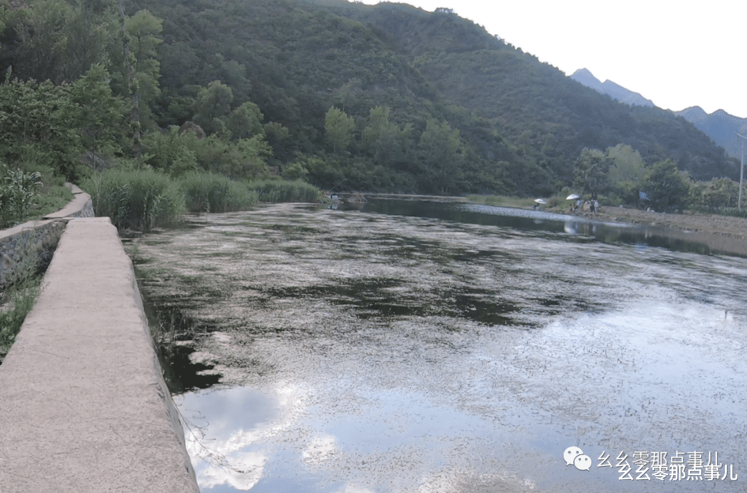 鲫鱼|分享钓点之殇！电鱼粘网齐上、满地污秽，这就是钓鱼人的素质？