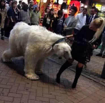 带奇特宠物逛街，引起全城轰动，比女汉子还彪